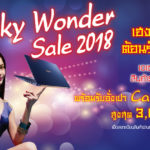 Wonder-Sale-Share
